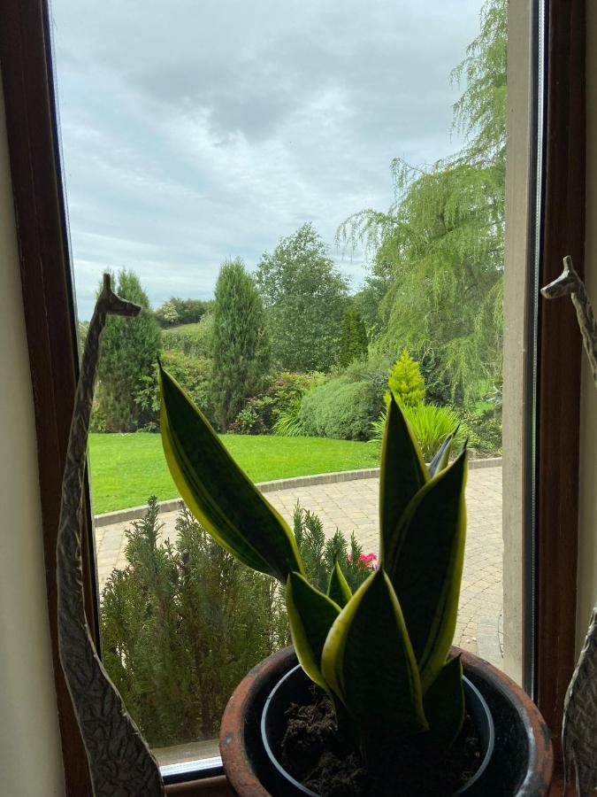 Corness House B&B Monaghan Exteriör bild